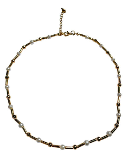 Collar Stay Golden